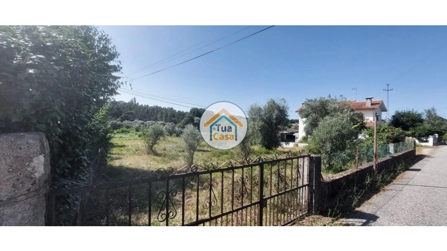 Terreno para Venda em São Miguel do Outeiro e Sabugosa Foto 1