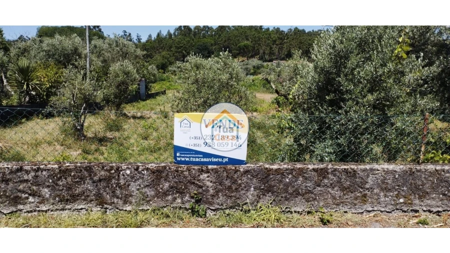 Terreno para Venda em São Miguel do Outeiro e Sabugosa Foto 2