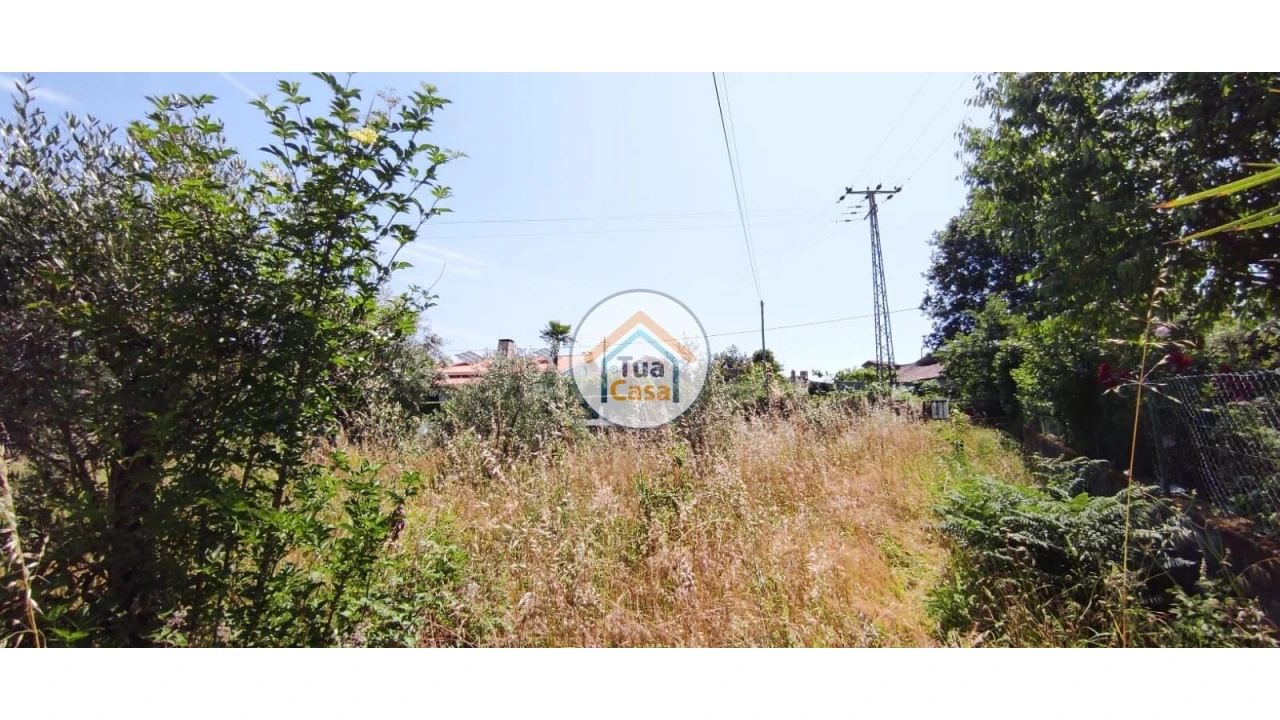 Terreno para Venda em São Miguel do Outeiro e Sabugosa Foto 8