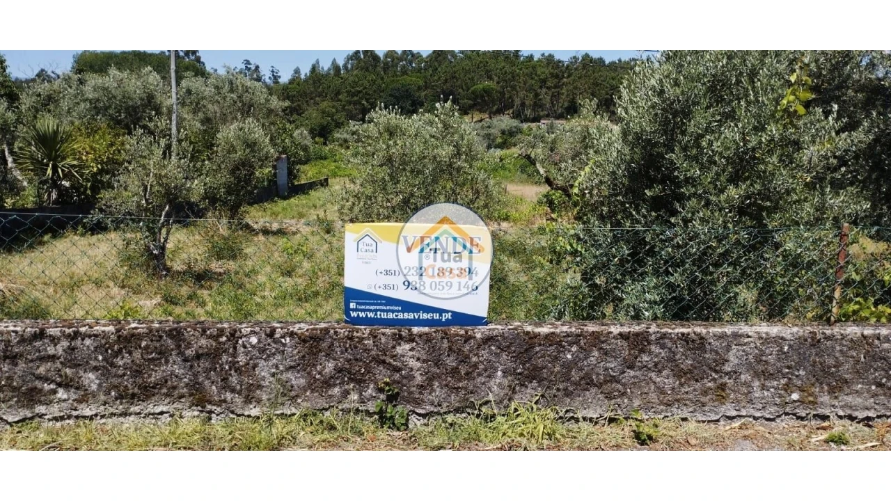 Terreno para Venda em São Miguel do Outeiro e Sabugosa Foto 2