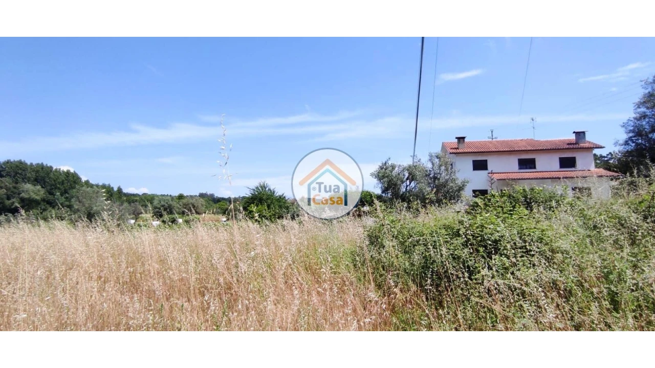 Terreno para Venda em São Miguel do Outeiro e Sabugosa Foto 14