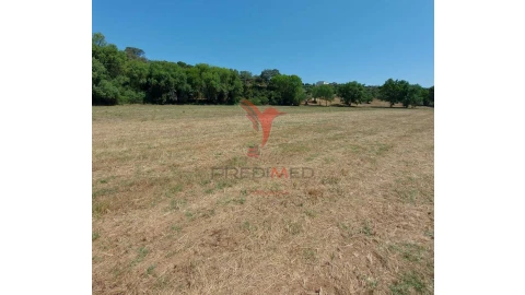 Terreno para Venda em Pernes