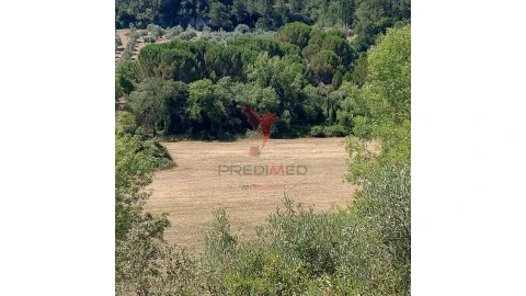 Terreno para Venda em Pernes