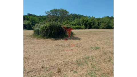 Terreno para Venda em Pernes