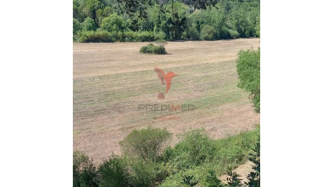 Terreno para Venda em Pernes