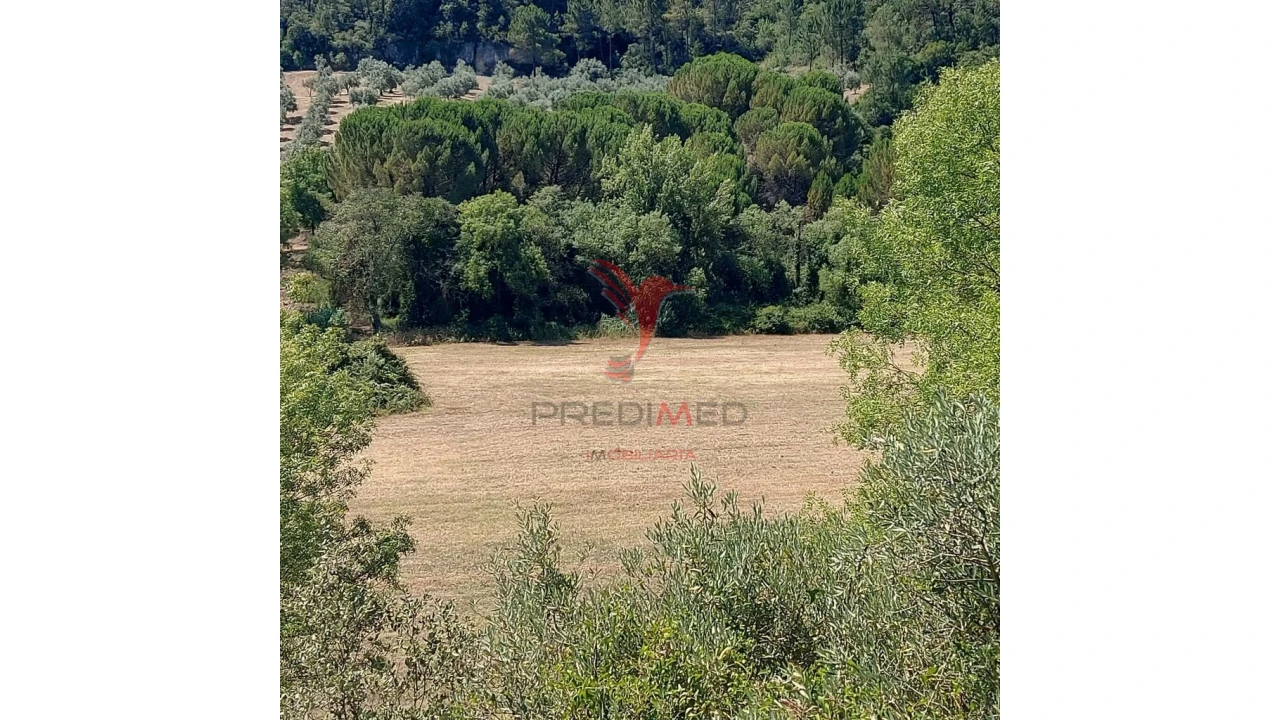 Terreno para Venda em Pernes Foto 9