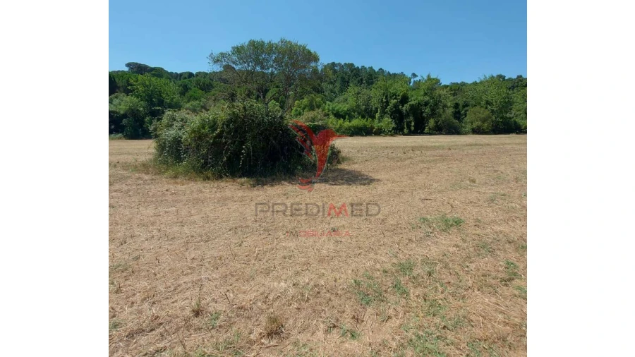 Terreno para Venda em Pernes Foto 4