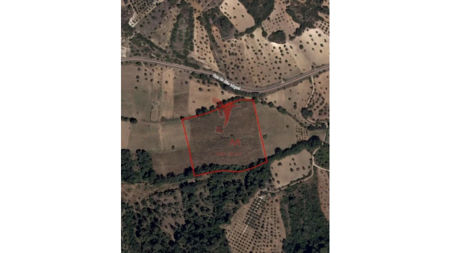Terreno para Venda em Pernes Foto 12