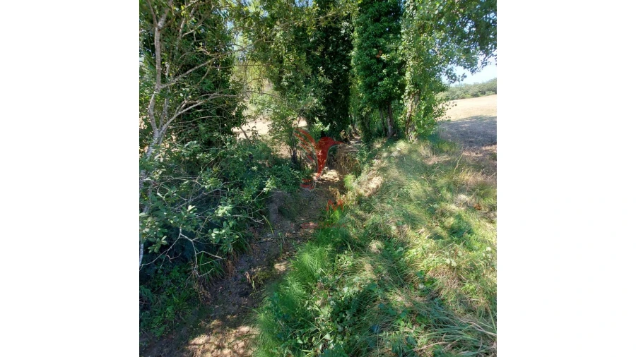 Terreno para Venda em Pernes Foto 3