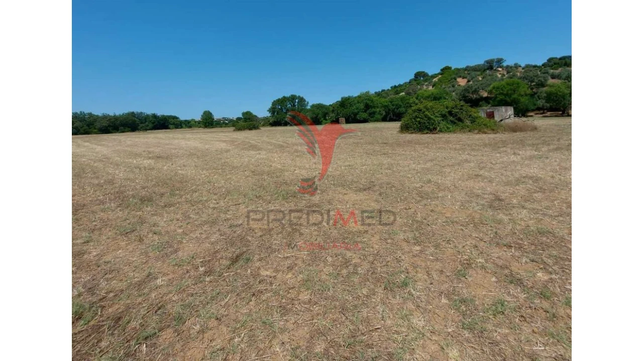 Terreno para Venda em Pernes Foto 6
