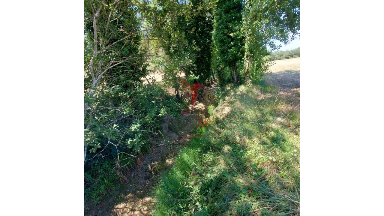 Terreno para Venda em Pernes Foto 3
