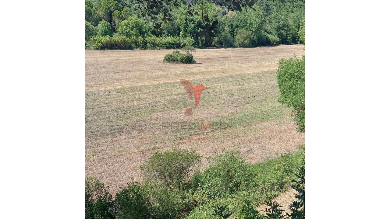 Terreno para Venda em Pernes Foto 1