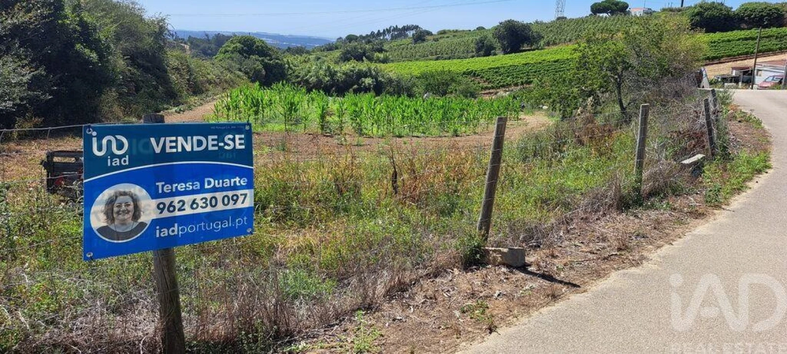 Terreno para Venda em Maxial e Monte Redondo Foto 1