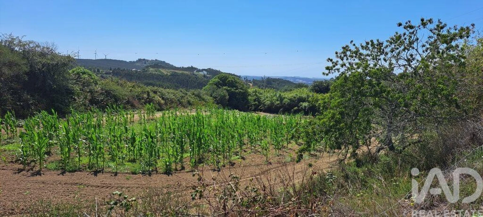 Terreno para Venda em Maxial e Monte Redondo Foto 24