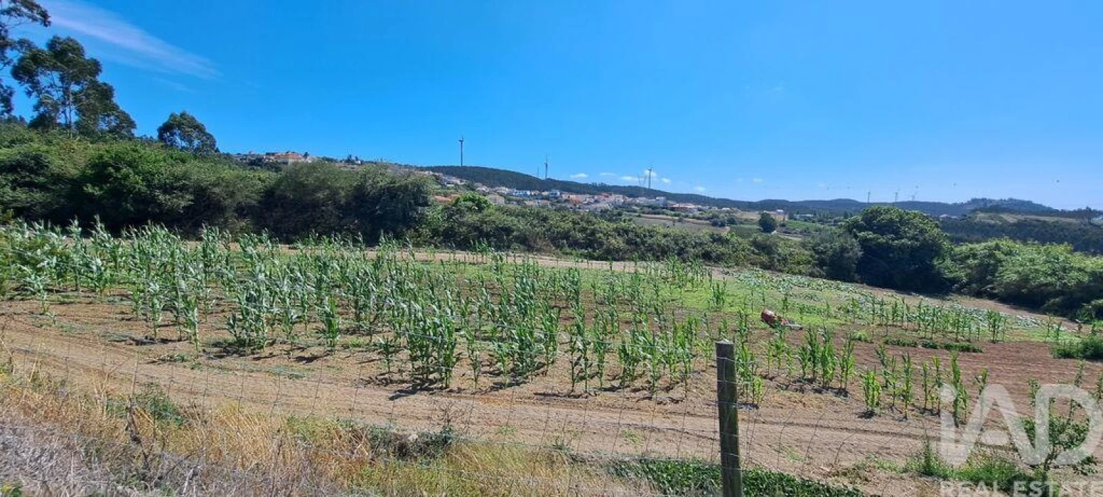 Terreno para Venda em Maxial e Monte Redondo Foto 19