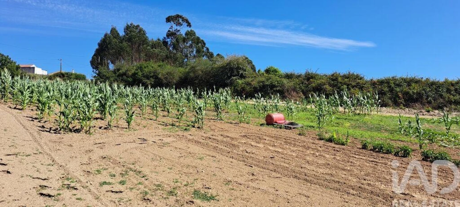 Terreno para Venda em Maxial e Monte Redondo Foto 6