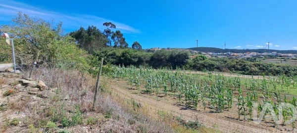 Terreno para Venda em Maxial e Monte Redondo