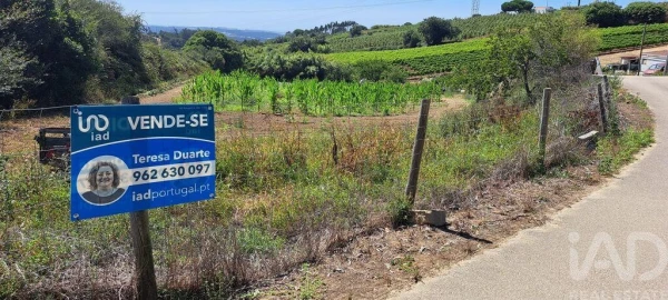 Terreno para Venda em Maxial e Monte Redondo