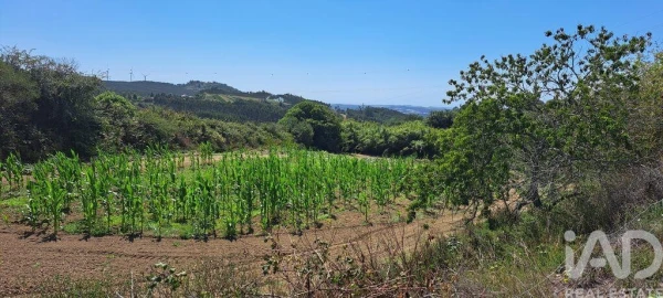 Terreno para Venda em Maxial e Monte Redondo
