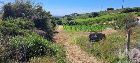 Terreno para Venda em Maxial e Monte Redondo