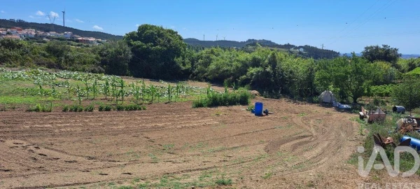 Terreno para Venda em Maxial e Monte Redondo