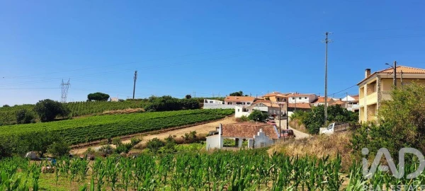 Terreno para Venda em Maxial e Monte Redondo
