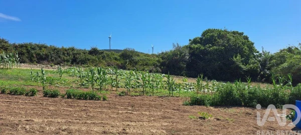 Terreno para Venda em Maxial e Monte Redondo