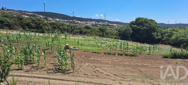 Terreno para Venda em Maxial e Monte Redondo