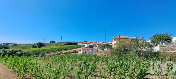 Terreno para Venda em Maxial e Monte Redondo