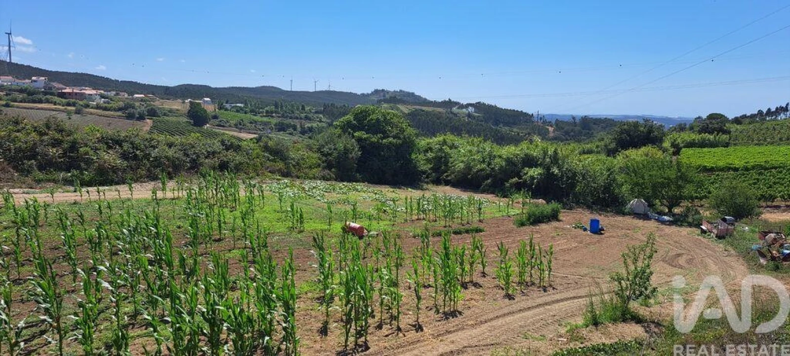 Terreno para Venda em Maxial e Monte Redondo Foto 23