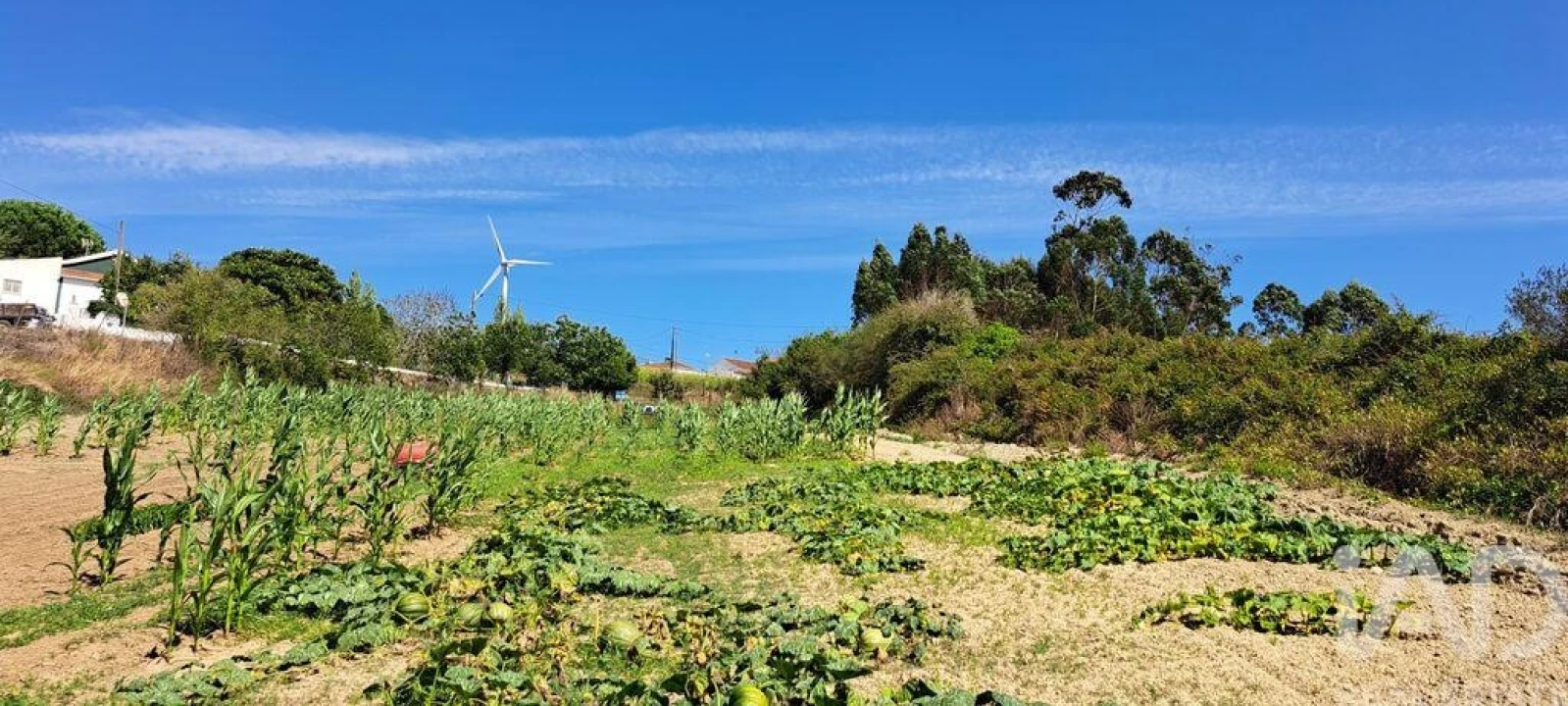 Terreno para Venda em Maxial e Monte Redondo Foto 8