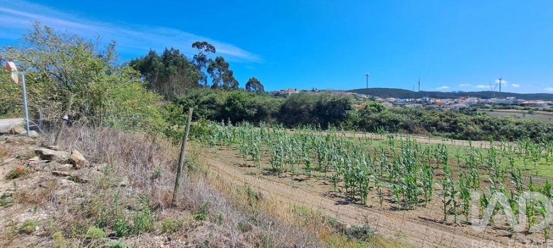 Terreno para Venda em Maxial e Monte Redondo Foto 20