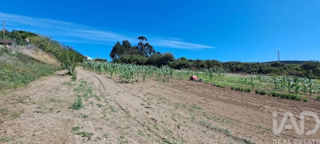 Terreno para Venda em Maxial e Monte Redondo Foto 10