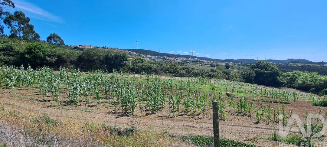 Terreno para Venda em Maxial e Monte Redondo Foto 19