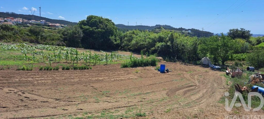 Terreno para Venda em Maxial e Monte Redondo Foto 17