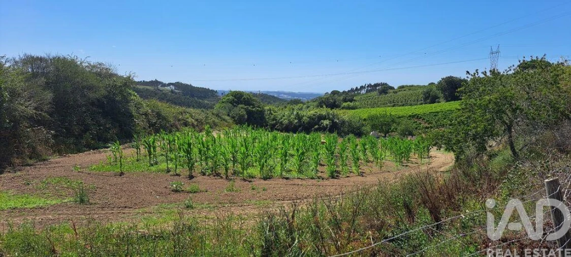 Terreno para Venda em Maxial e Monte Redondo Foto 25