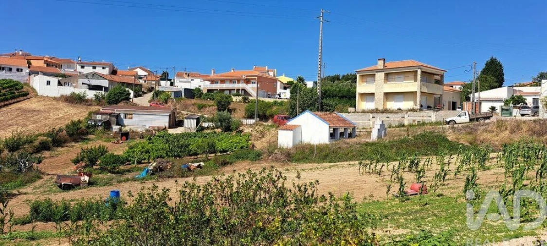 Terreno para Venda em Maxial e Monte Redondo Foto 3