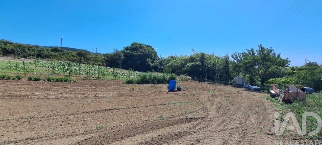 Terreno para Venda em Maxial e Monte Redondo Foto 11