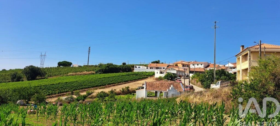 Terreno para Venda em Maxial e Monte Redondo Foto 13
