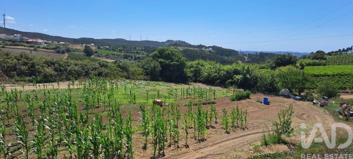 Terreno para Venda em Maxial e Monte Redondo Foto 23