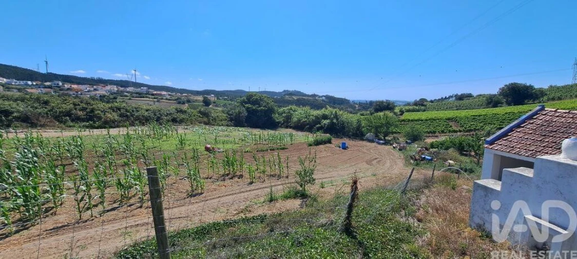 Terreno para Venda em Maxial e Monte Redondo Foto 18