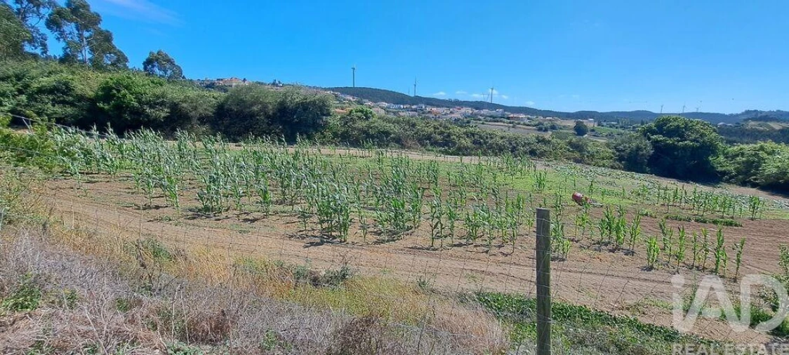 Terreno para Venda em Maxial e Monte Redondo Foto 21