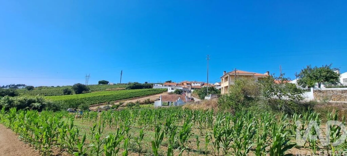 Terreno para Venda em Maxial e Monte Redondo Foto 12