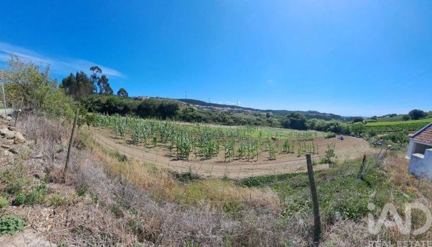 Terreno para Venda em Maxial e Monte Redondo Foto 22