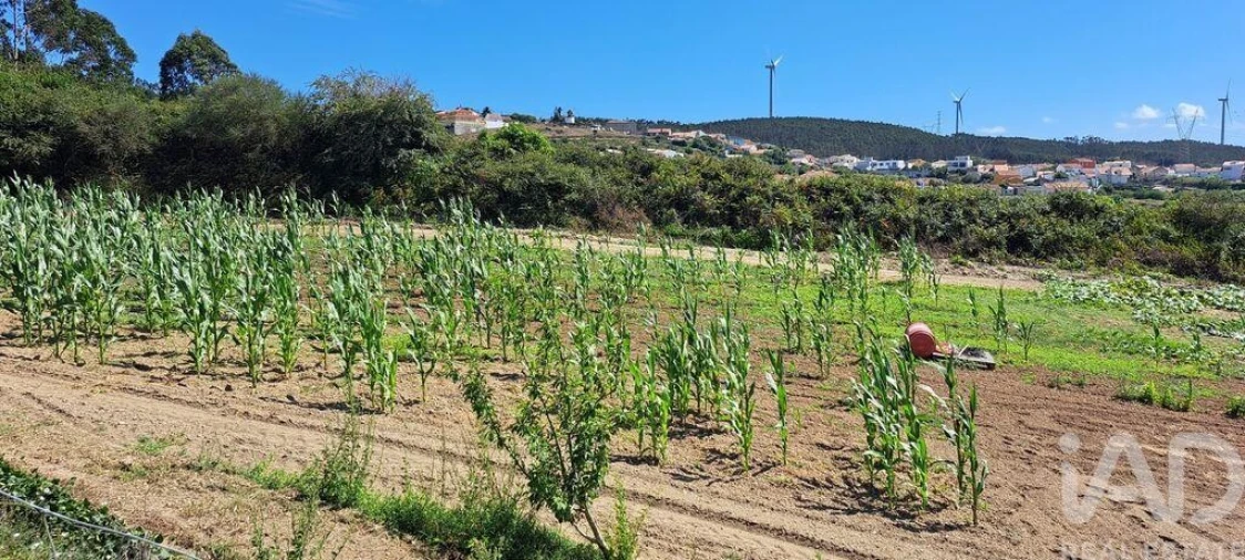 Terreno para Venda em Maxial e Monte Redondo Foto 15