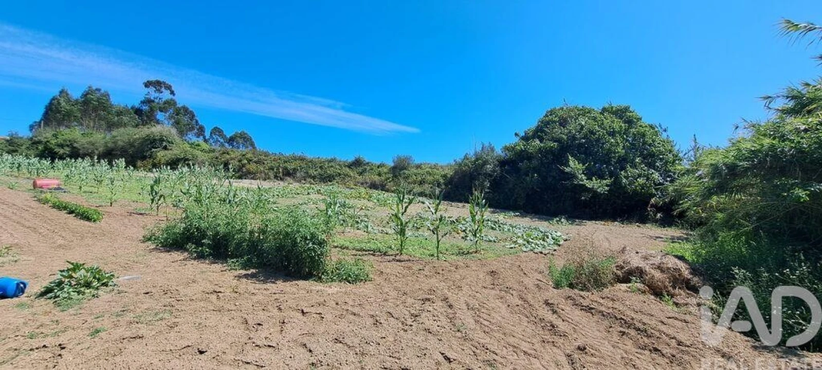 Terreno para Venda em Maxial e Monte Redondo Foto 9