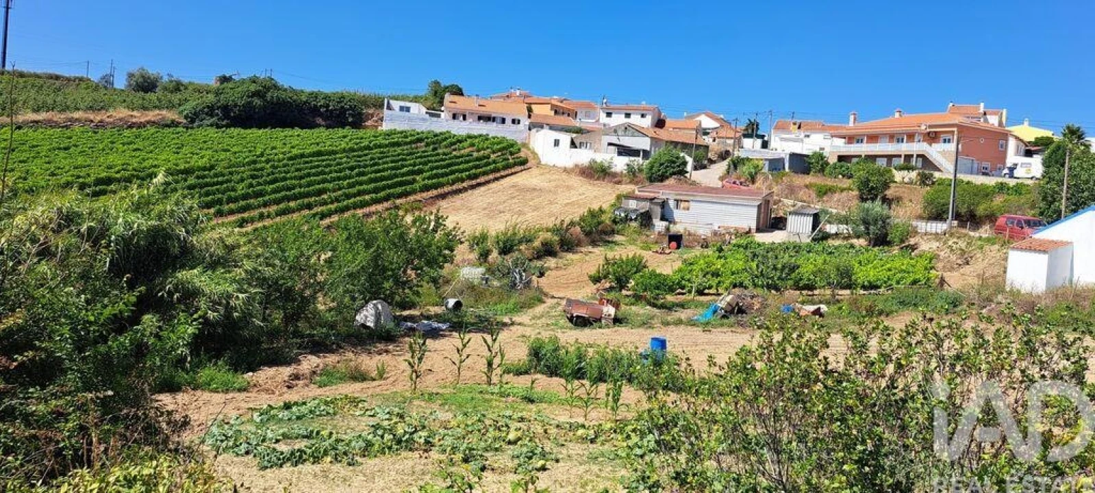 Terreno para Venda em Maxial e Monte Redondo Foto 4