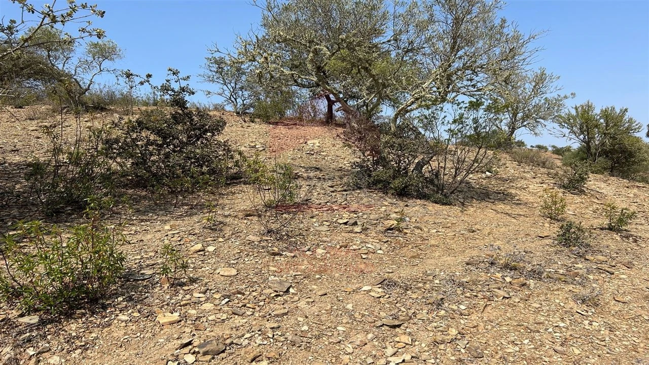 Terreno Agricola ou Rústico para Venda em Alcoutim e Pereiro Foto 4