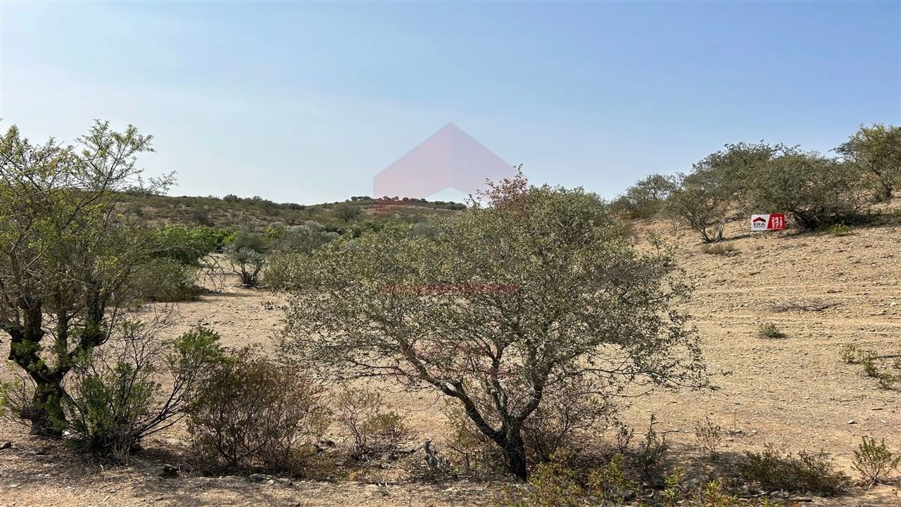 Terreno Agricola ou Rústico para Venda em Alcoutim e Pereiro Foto 3