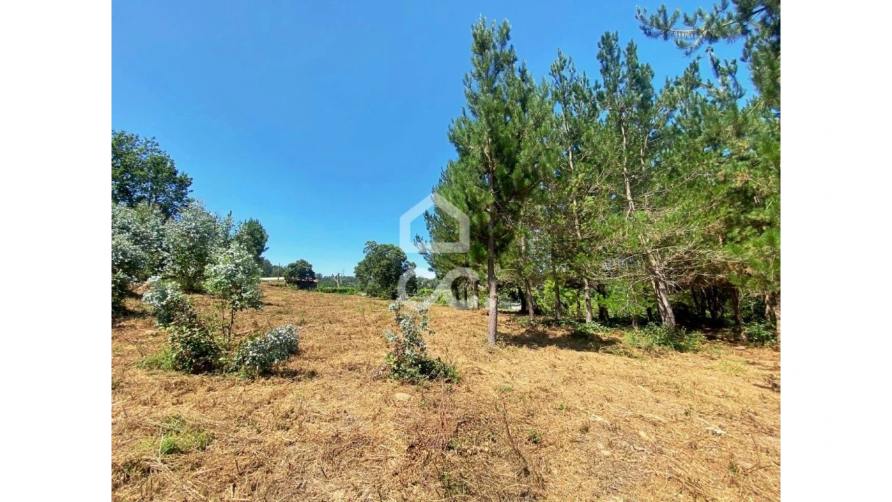 Terreno para Venda em Couto de Baixo e Couto de Cima Foto 12